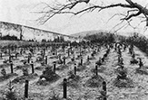 Hadamar Cemetery. Beginning in 1942, the corpses of the victims were buried in mass graves in a newly created institutional cemetery.
